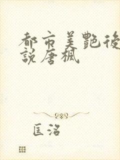 都市美艳后宫小说唐枫