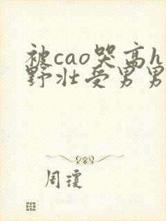被cao哭高h野壮受男男