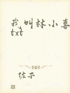 我叫林小喜小说txt