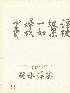 少妇一级淫片免费放如果被