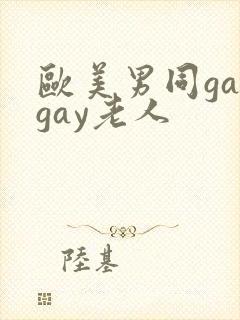 欧美男同gaygay老人封面