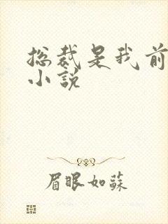 总裁是我前女友小说封面