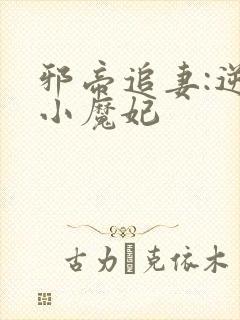 邪帝追妻:逆天小魔妃