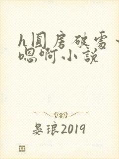 h圆房破处～h嗯啊小说