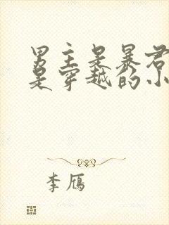 男主是暴君女主是穿越的小说