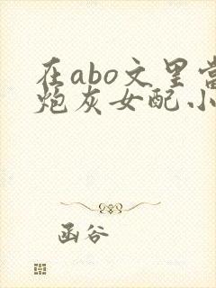 在abo文里当炮灰女配小说免费阅读封面