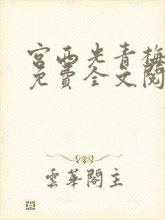 宫西光青梅竹马免费全文阅读笔趣阁