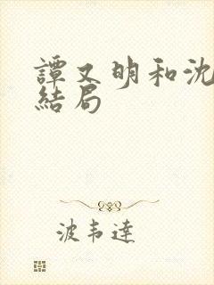 谭又明和沈宗年结局封面