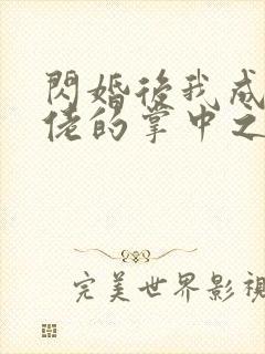 闪婚后我成了大佬的掌中之物免