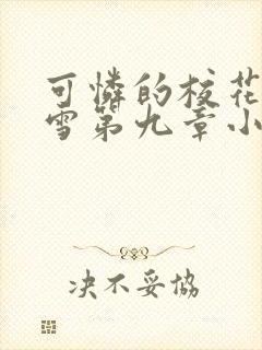 可怜的校花陈若雪第九章小说封面