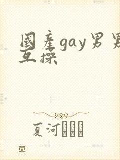 国产gay男男互操