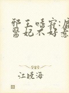 邪王嗜宠:废材医妃不好惹小说