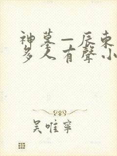 神墓—辰东免费多人有声小说