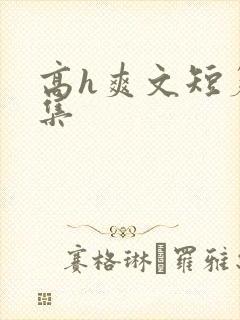 高h爽文短篇合集封面