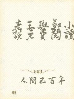 老王与郑小爽小说免费阅读封面