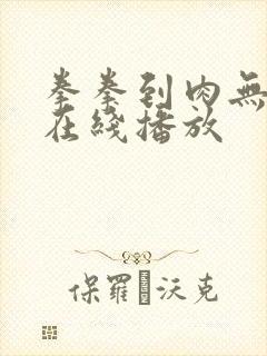 拳拳到肉无删减在线播放封面