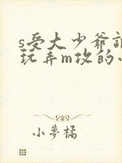 s受大少爷调教玩弄m攻的小说