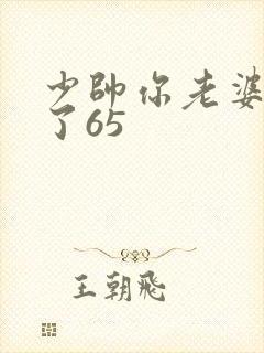 少帅你老婆又跑了65