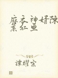 麻衣神婿陈黄皮叶红鱼