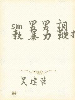 sm 男男 调教 暴力 鞭打 玩具 酷刑