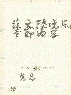 苏文陆晚风最新章节内容