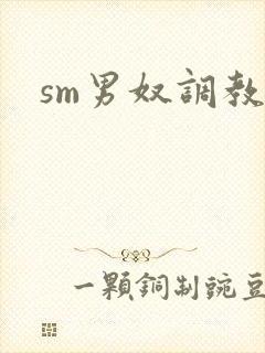 sm男奴调教文