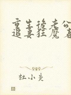 重生后老公成了追妻狂魔 春司竹封面