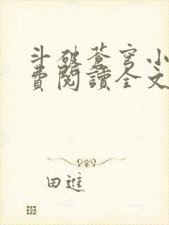 斗破苍穹小说免费阅读全文无弹窗封面