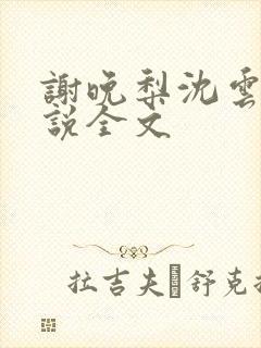 谢晚梨沈云迟小说全文