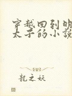 穿越回到明朝当太子的小说封面