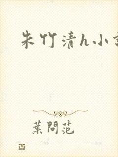 朱竹清h小说