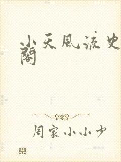 小天风流史笔趣阁
