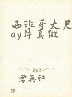 西班牙大尺度gay片真做