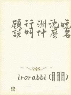 顾行洲沈晚宁小说叫什么名字