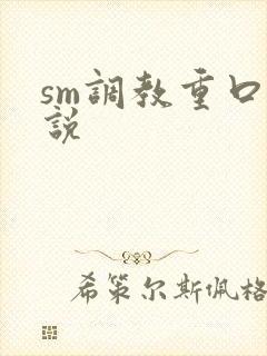 sm调教重口小说