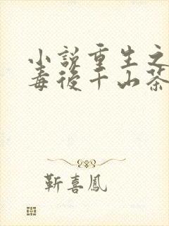 小说重生之将门毒后千山茶客最新章节列表