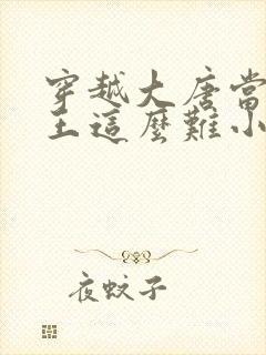 穿越大唐当个闲王这么难小说