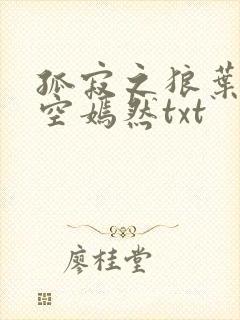 孤寂之狼叶凡司空嫣然txt
