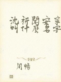 沈祈闻安宁小说叫什么名字