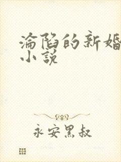 沦陷的新婚少妇小说