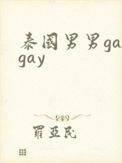 泰国男男gaygay封面