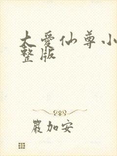 大爱仙尊小说完整版