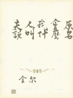 夫人我会原著小说叫什么名字来着封面