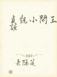 贞观小闲王 小说
