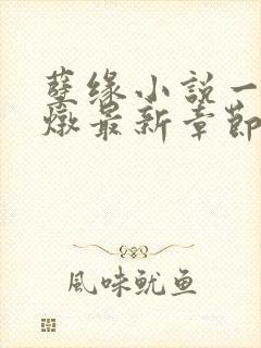 孽缘小说一家乱炖最新章节阅读封面