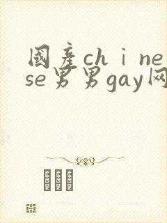 国产chⅰnese男男gay网站封面