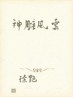 神雕风云