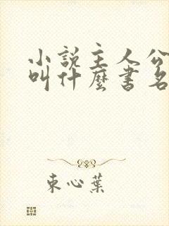 小说主人公杨洛叫什么书名