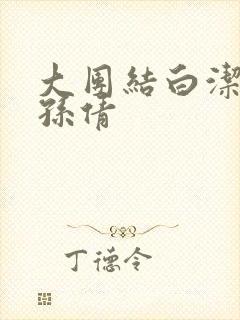 大团结白洁高义孙倩