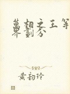 万相之王等级境界划分